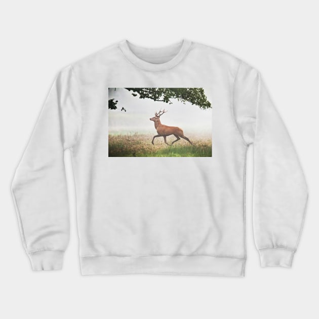 deer Crewneck Sweatshirt by bogfl
